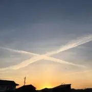 kiriの画像