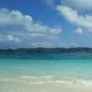 soyの画像