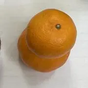 ()の画像