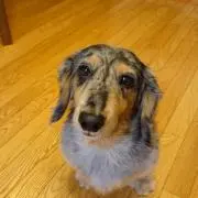 レガシーの画像