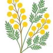 pochiの画像