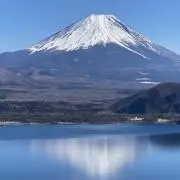 めだかの画像