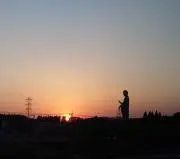 はちの画像