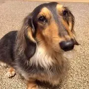ひろの画像