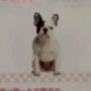 まーさんの画像