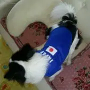 えいきち