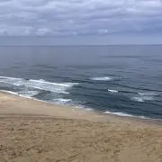 じんの画像