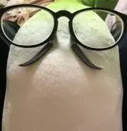 くろごまの画像