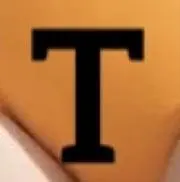 トヨキンs.kの画像