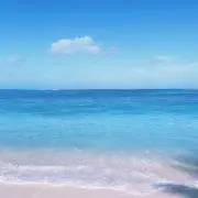rinrinの画像