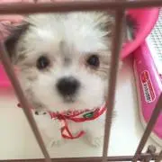 たぐ