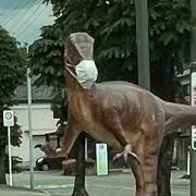 たいの画像