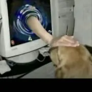 ぶる