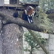 田中太郎の画像