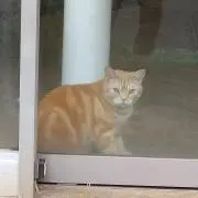 Johnの画像