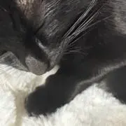 そなの画像