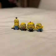 りんごの画像