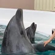 kimrの画像