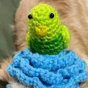 もかぷーの画像