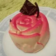 erwinの画像