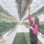 mの画像