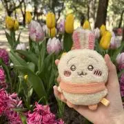 うさぎ大好き