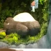 バスくん
