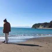 ちかずの画像