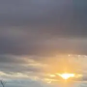 ヒロの画像