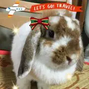 いちごパフェ◡̈♥︎