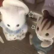 pの画像