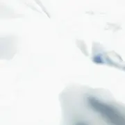 Kakiの画像