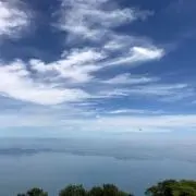 nonの画像