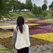 あいの画像