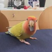 na*・゜全品即購入可の画像