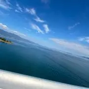 まの画像