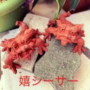 あんな