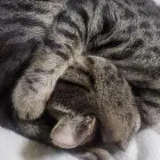 hiro