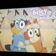 きゃんでぃの画像