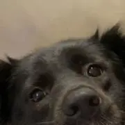 はぁちゃんの画像