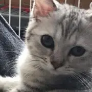 こなん