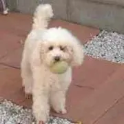 メグミ☆
