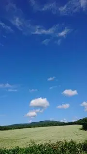 mitsuの画像