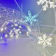 ちょめの画像