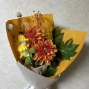 らんらんの画像