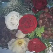 rose48の画像