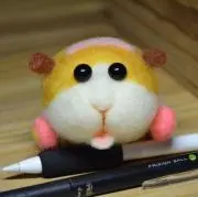 mokoの画像