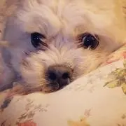 銀ちゃんママ　(プロフ見て下さいね。)