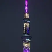 コンドルの画像