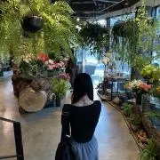 なるぱおの画像
